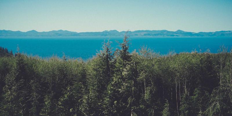 古典文学研究者必备：免费古籍数据库、数字人文工具与学术社区全攻略