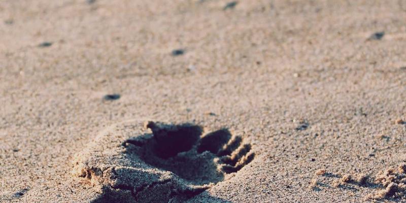 在家科学健身完全指南：免费个性化计划生成工具与解剖学资源库