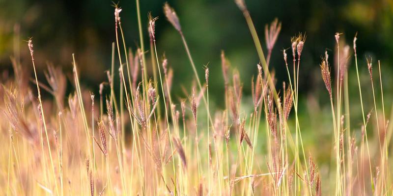 户外探险者数字工具箱:免费地图、轨迹规划与安全知识资源全攻略