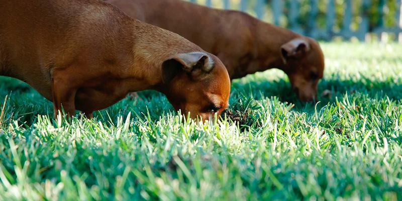 自媒体创作者必备!QQ分享吧等宝藏资源平台全解析,告别素材荒