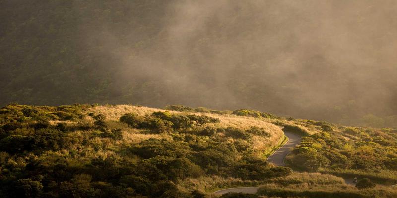 设计师必备!10个免费高质量素材资源网站,轻松搞定文档与信息发布