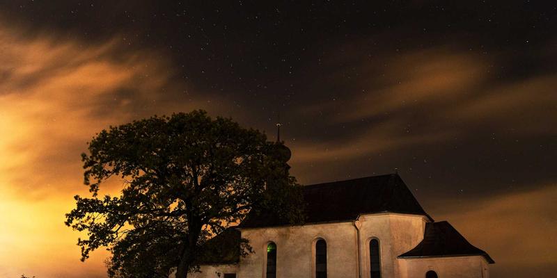 零基础编程自学宝典：精选免费交互式平台与实战项目资源库（附完整路径）